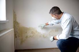 Best Post-Construction Mold Inspection  in Oconto, WI